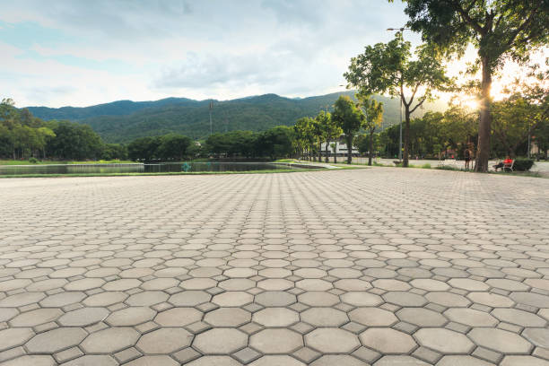 Trusted Minden, NV Driveway Pavers Experts