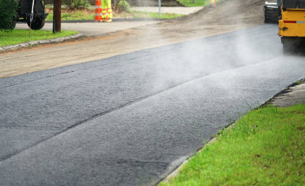 Best Residential Driveway Paver Services  in Minden, NV